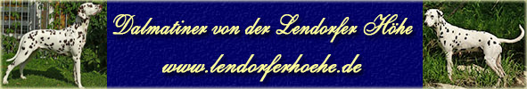 Banner_lendorfer_neu
